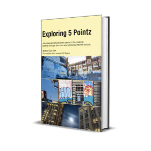 5Ptz 3D Book Cover