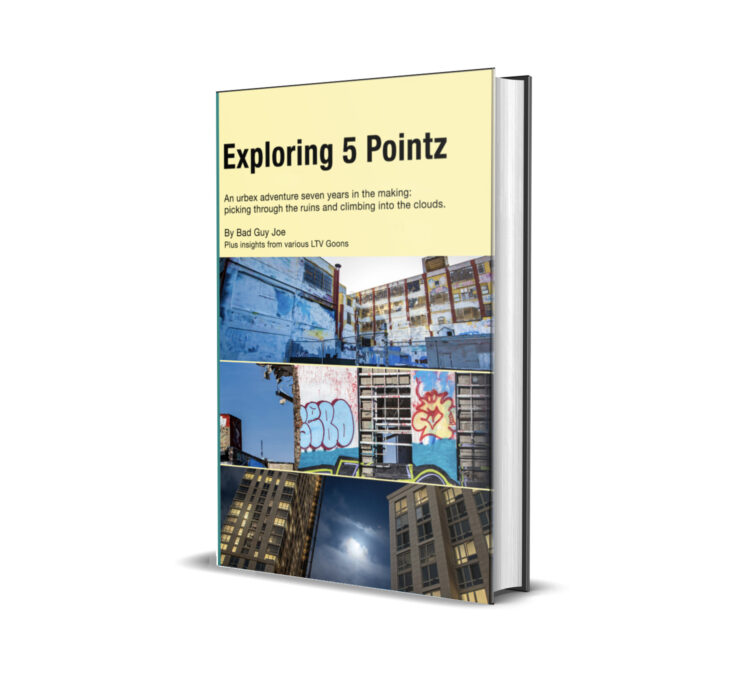 Exploring 5 Pointz (Book) (Second Edition)