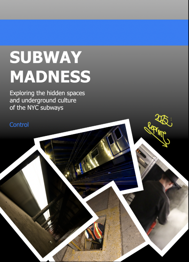 Book Cover for Subway Madness 2025